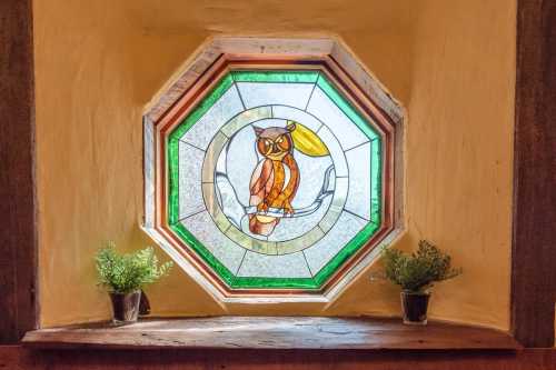 Stained glass window featuring an owl, framed in an octagonal shape, with potted plants on a wooden ledge.