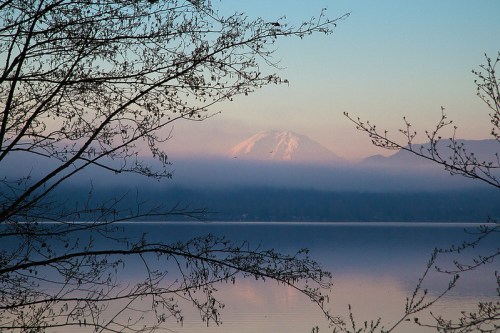 A serene lake scene framed by branches, with a snow-capped mountain peeking through mist at sunrise.