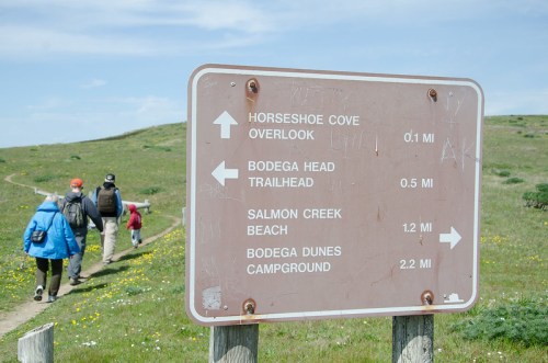 A trail sign with directions to various locations, with hikers walking along a path in a grassy landscape.