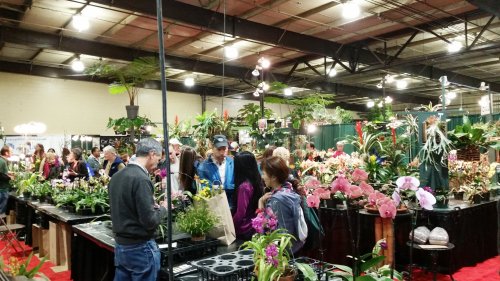 A bustling indoor plant exhibition with people browsing various flower displays and plants.