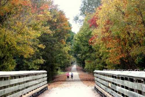 Two people walk along a tree-lined path with vibrant autumn foliage, crossing a wooden bridge.