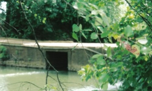 A stone bridge over a river, partially obscured by green leaves and branches.
