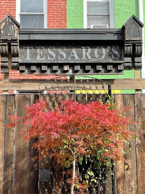Sign for Tessaro's restaurant above a wooden gate, with a vibrant red tree in front and colorful brick buildings in the background.