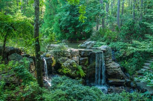 A serene waterfall cascades over rocks, surrounded by lush green foliage in a tranquil forest setting.