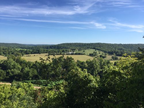 A scenic view of rolling green hills under a clear blue sky, with trees and fields stretching into the distance.
