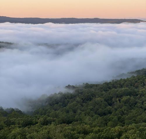 A serene landscape of rolling hills covered in fog, with a soft sunset glow in the background.