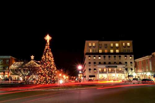 A brightly lit Christmas tree stands in a town square at night, with festive buildings and car lights creating a lively scene.