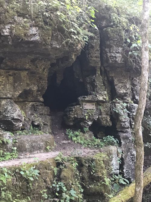 A rocky cliff with a dark cave entrance, surrounded by lush greenery and a sign nearby.