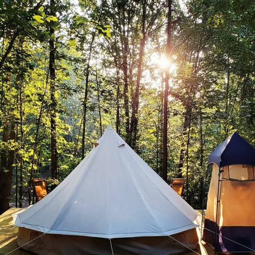 A white tent in a forest, surrounded by trees, with sunlight filtering through the leaves.