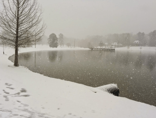 A snowy landscape with a calm lake, trees, and a dock in the distance, creating a serene winter scene.
