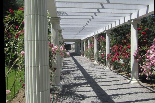 A sunlit garden path lined with columns and blooming roses on either side, creating a serene, picturesque walkway.