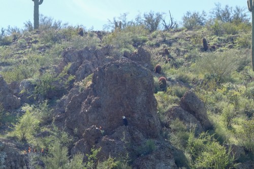 A rocky hillside covered with cacti and desert vegetation under a clear blue sky.