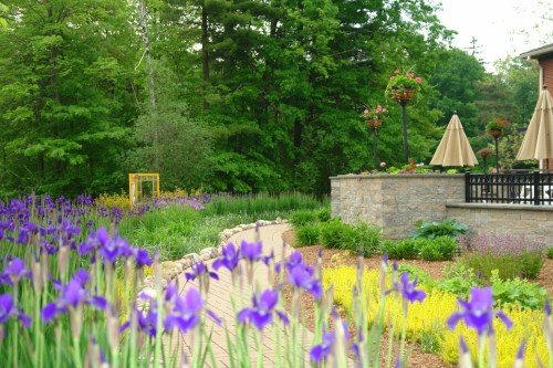 A scenic garden path lined with purple irises and yellow flowers, leading to a stone wall and shaded seating area.