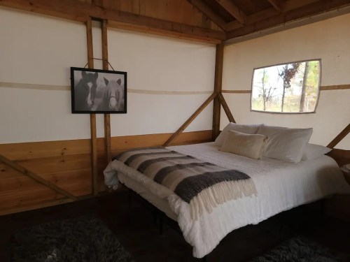 Cozy interior of a cabin with a bed, decorative blanket, and a framed photo on the wall. Natural light from a window.