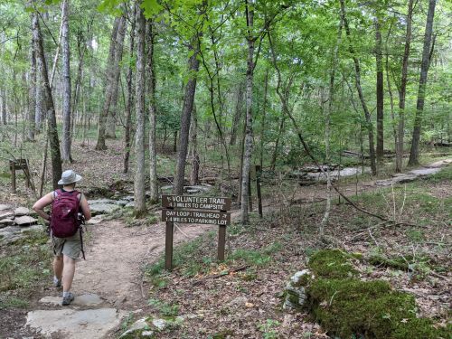 A hiker with a backpack walks along a wooded trail, passing a sign for the Volunteer Trail and campsite.