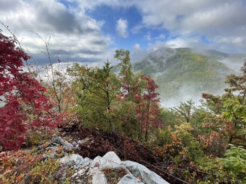 A scenic view of colorful autumn foliage on a mountain, with mist rolling through the valleys under a cloudy sky.