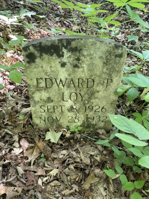 Gravestone of Edward P. Loy, born September 8, 1926, and passed away November 28, 1932, surrounded by foliage.