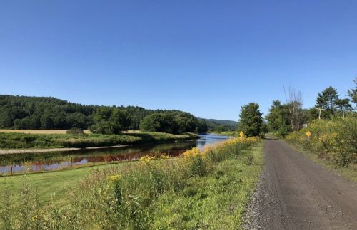 A serene river scene with lush greenery and a clear blue sky, alongside a gravel path.
