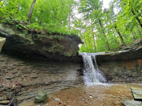 A serene waterfall cascades over rocky ledges, surrounded by lush green trees in a tranquil forest setting.