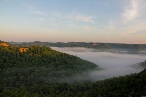 A serene landscape of rolling green hills shrouded in morning fog under a clear blue sky.