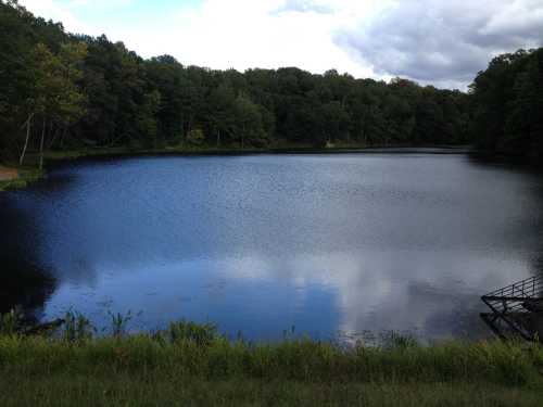 A serene lake surrounded by trees under a cloudy sky, reflecting the landscape on its calm surface.