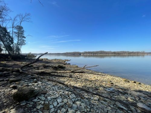 A serene riverbank scene with exposed rocks, fallen branches, and a clear blue sky reflecting on calm water.
