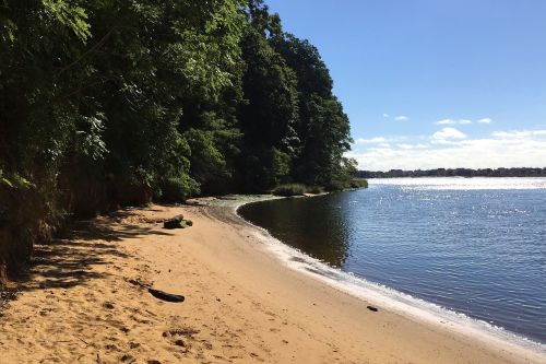 A sandy beach lined with trees beside a calm river under a clear blue sky.
