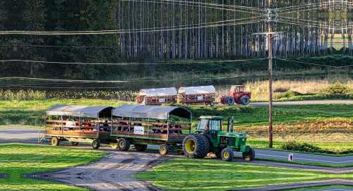 A green tractor pulls a covered wagon on a rural road, with another tractor and wagons in the background.