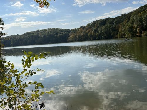 A serene lake surrounded by trees, reflecting clouds and blue sky, with a small boat in the distance.