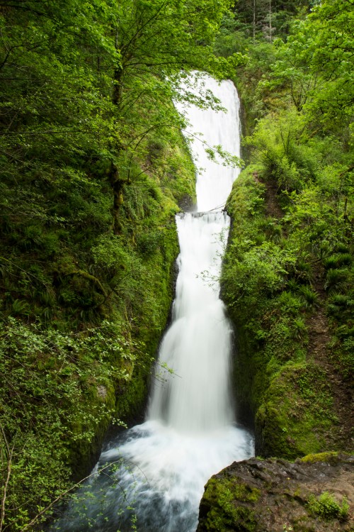 A serene waterfall cascades down a lush, green hillside surrounded by dense foliage.