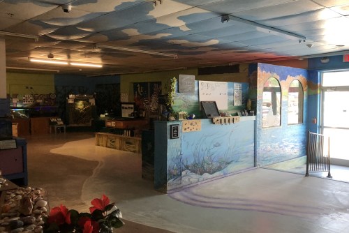 Interior of a colorful marine-themed exhibit space with murals, aquariums, and a welcoming entrance.
