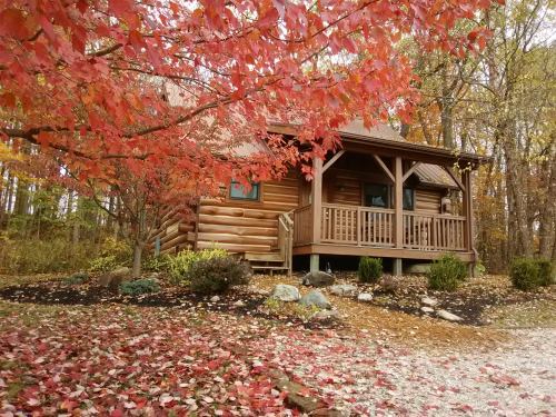 A cozy log cabin surrounded by vibrant autumn foliage and fallen red leaves on the ground.