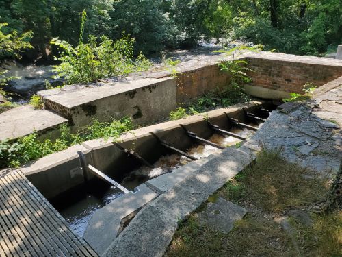 A concrete structure with water flowing through it, surrounded by greenery and trees near a creek.