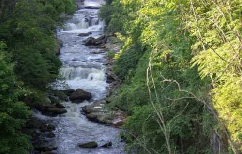 A serene river flows through a lush green landscape, featuring small waterfalls and rocky banks.