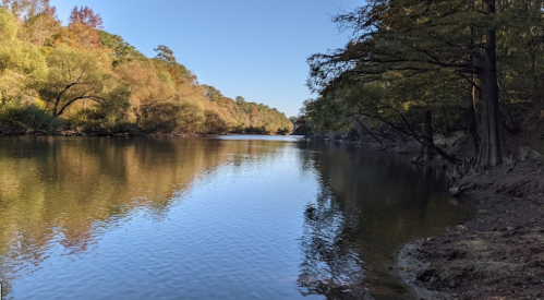A serene river scene surrounded by trees, reflecting the clear blue sky and autumn foliage.