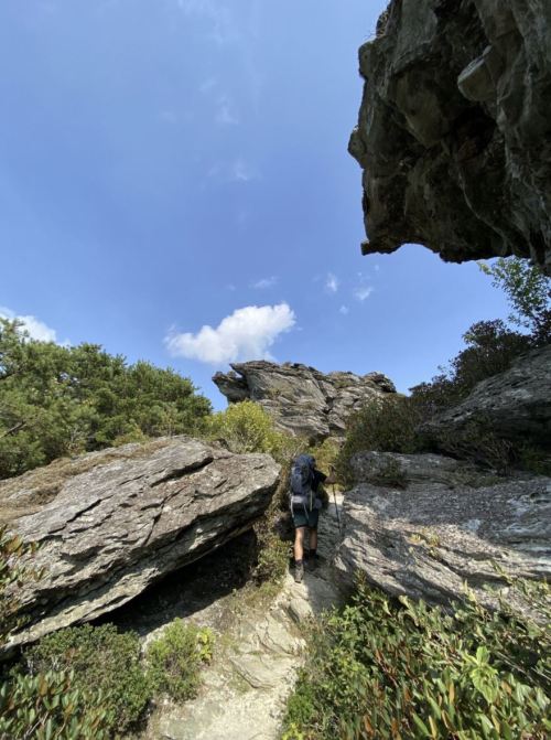 A hiker ascends a rocky path surrounded by greenery under a blue sky with scattered clouds.