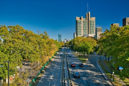 A city street lined with trees, leading to tall buildings under a clear blue sky.