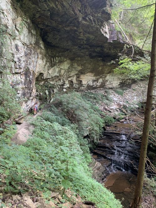 A person stands near a rocky cliff with lush greenery and a small waterfall in a serene forest setting.