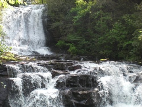 A cascading waterfall flows over rocky terrain, surrounded by lush green trees and foliage.