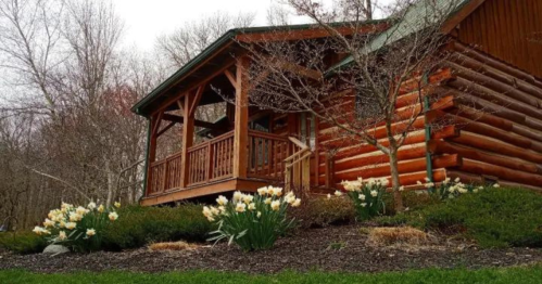 A rustic log cabin surrounded by blooming flowers and greenery, set in a serene natural landscape.