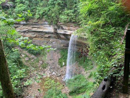 A serene waterfall cascades down rocky cliffs, surrounded by lush green foliage and a tranquil pool below.