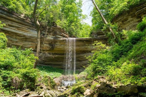 A serene waterfall cascading over a rocky cliff, surrounded by lush green trees and foliage.