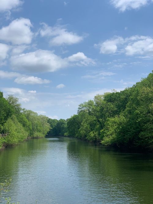 A serene river surrounded by lush green trees under a bright blue sky with fluffy white clouds.