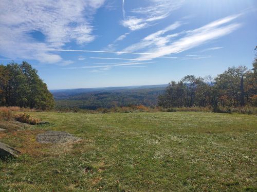 A scenic view of rolling hills and a clear blue sky, with a grassy foreground and scattered trees.