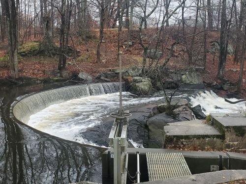 A serene waterfall cascades over a curved dam, surrounded by bare trees and rocky terrain in a tranquil setting.
