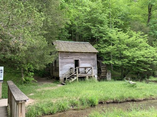 A rustic wooden building with a waterwheel, surrounded by lush greenery and a small stream.