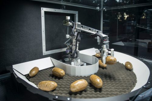 A robotic arm manipulates oval objects in a circular, cushioned workspace.
