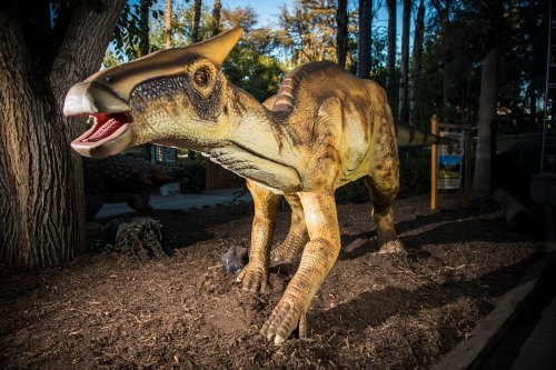 A life-sized dinosaur sculpture in a natural setting, surrounded by trees and mulch, with a detailed, colorful design.