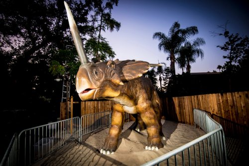 A large, lifelike dinosaur sculpture with a horn, set in a sandy area surrounded by trees and a wooden fence.