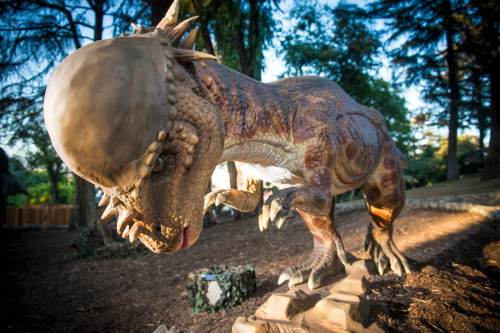 A lifelike dinosaur sculpture with a large head and sharp teeth, set in a natural outdoor environment.